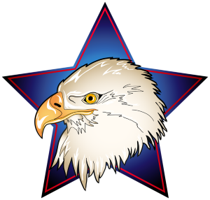 an american eagle head in a blue star